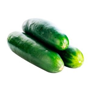 Pepino x Lb
