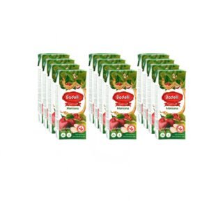 Pack x 12 Jugo Badelli Manzana 🍎 (200ml)