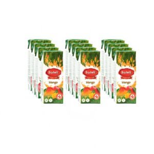 Pack x 12 Jugo Badelli Mango 🥭 (200ml)